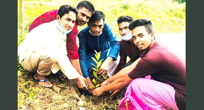 সাতকানিয়ায় ছাত্রলীগের বৃক্ষরোপণ কর্মসূচি পালন