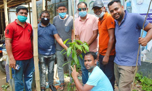 ঘিওরে যুবলীগের বৃক্ষরোপণ কর্মসূচি পালন