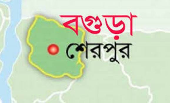 গোয়লঘর থেকে নববিবাহিত স্বামীর ঝুলন্ত মৃতদেহ উদ্ধার
