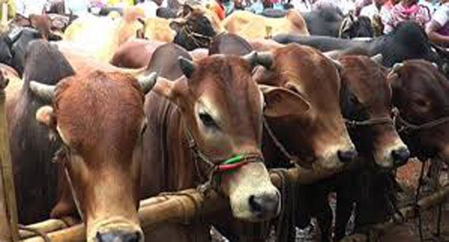কোরবানিতেও পড়বে করোনার প্রভাব