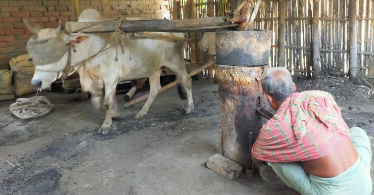 আধুনিকতার ছোঁয়ার মধ্যেও টিকে আছে ঘানি ভাঙ্গা শিল্প