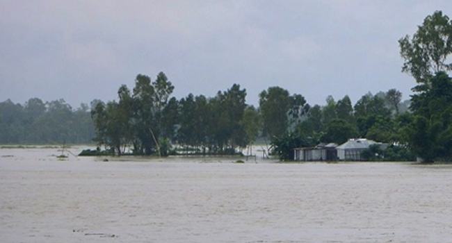 তিস্তা নদীর পানি বিপদসীমার উপর দিয়েই বইছে