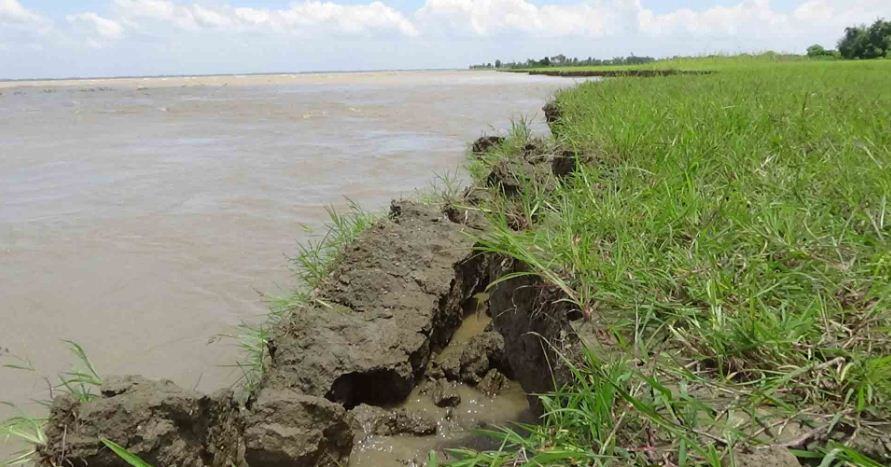 পদ্মার ভাঙ্গনে বিলীন হচ্ছে দিগন্ত জোড়া ফসলের মাঠ
