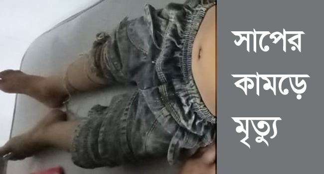 চুয়াডাঙ্গায় সাপের কামড়ে ২ শিশুর মৃত্যু