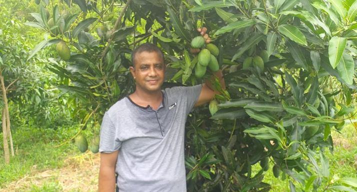 মিরসরাইয়ে বাণিজ্যিক আম চাষে আগ্রহ বাড়ছে যুবকদের