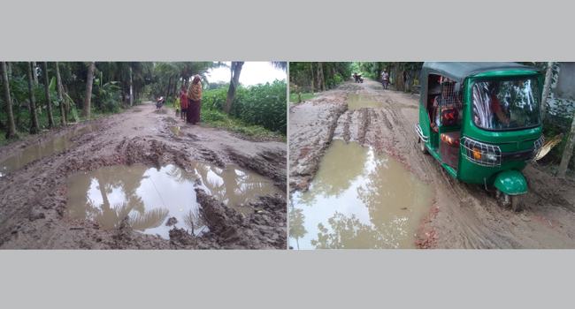 বাগাতিপাড়ায় সড়কের বেহাল দশা, জনদুর্ভোগ