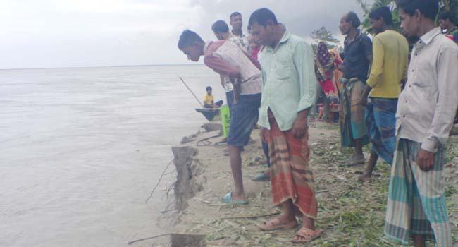 কাজিপুরে যমুনার ভাঙনে ঘরবাড়ি বিলীন