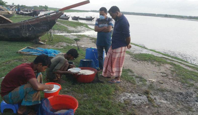 নিষেধাজ্ঞা উপেক্ষা করে চলছে চিংড়ি রেণু আহরণ