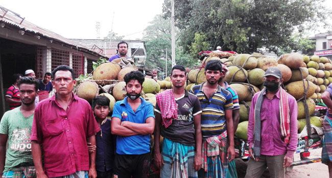 কাঁঠালের দাম ২০ টাকা, তবুও নেই ক্রেতা