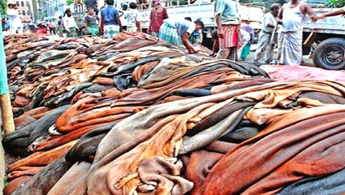 কোরবানির চামড়া নিয়ে এবারো বিশৃঙ্খলার শঙ্কা