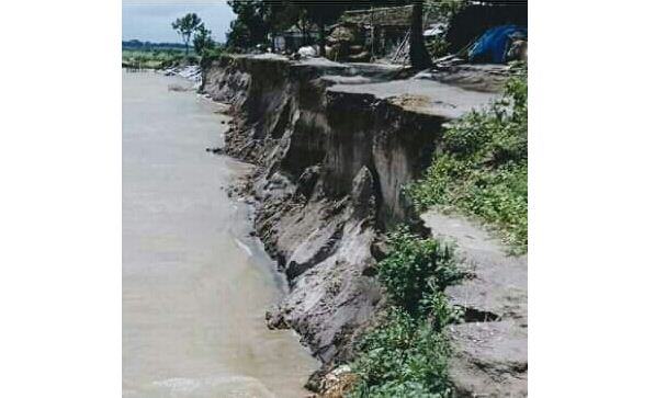 ব্রহ্মপুত্রে বিলীন হচ্ছে সাহেবেরচর গ্রাম
