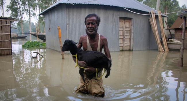 ধুনটে যমুনার পানি ফের বিপদসীমার ওপরে