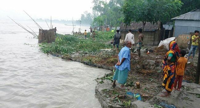 তিস্তায় বাড়ছে পানি ভাঙছে বসতবাড়ি