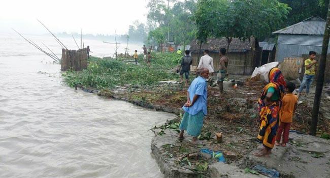 তিস্তায় বাড়ছে পানি, ভাঙছে বসতবাড়ি