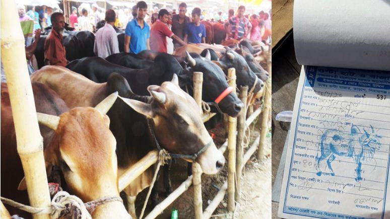 পশুর হাটে অতিরিক্ত খাজনা আদায়ের অভিযোগ