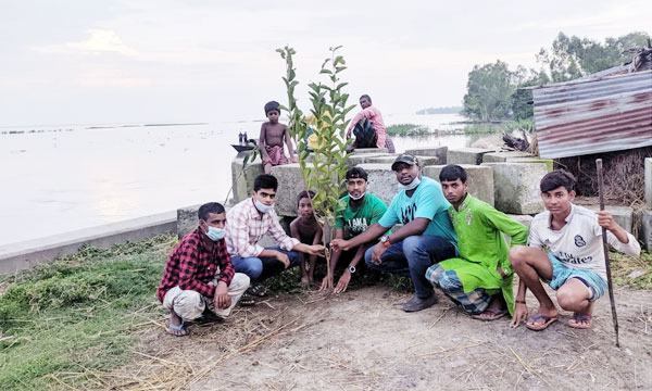যমুনা নদীর বাঁধের ভাঙন রোধে বৃক্ষরোপণ