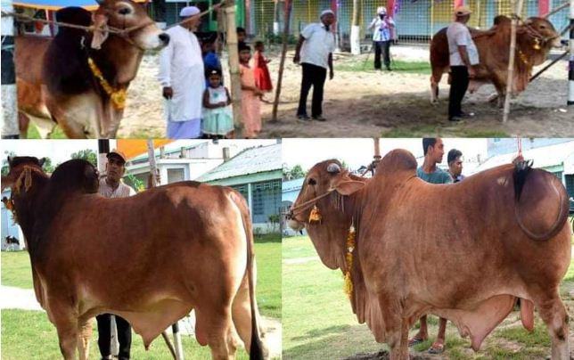 পাবনার সেরা রাজা-বাদশা