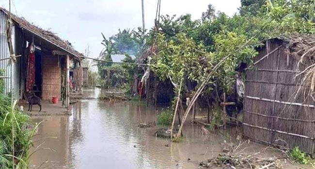 মানিকগঞ্জে যমুনার পানিতে নিম্নাঞ্চল প্লাবিত