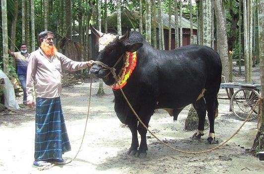 কালাপাহাড়, দিনে খায় ১ হাজার টাকার খাবার