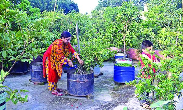 চোখ জুড়ানো ছাদবাগান