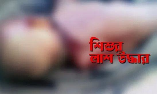 বাবার সাথে ক্ষেতে গিয়ে শিশুর মর্মান্তিক মৃত্যু