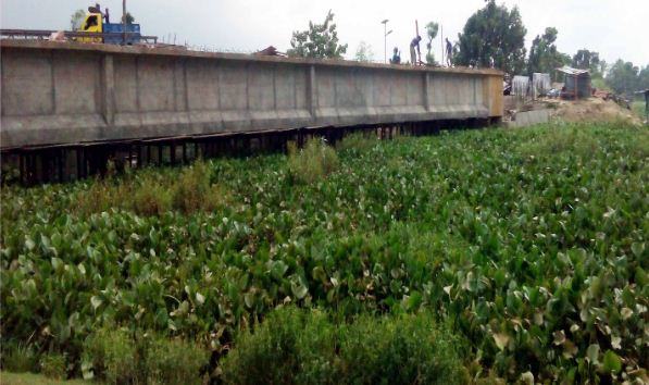 রাণীনগর বন্যা আসার আগেই সেতু ছুঁয়েছে বর্ষার পানি, নৌকা চলাচল বন্ধ