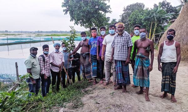সবুজ বাংলাদেশ গড়তে এইচবিএফের বৃক্ষরোপণ