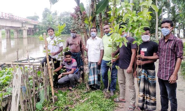 শিক্ষকদের উৎসর্গ করে এইচবিএফের বৃক্ষরোপণ
