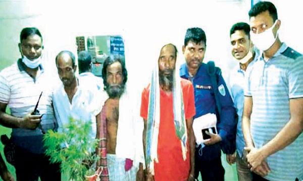 শায়েস্তাগঞ্জে পুলিশের অভিযানে গাঁজাসহ আটক ৩