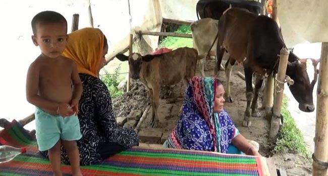 ফরিদপুরে করোনার সাথে বন্যায় কর্মহীন অসংখ্য মানুষ