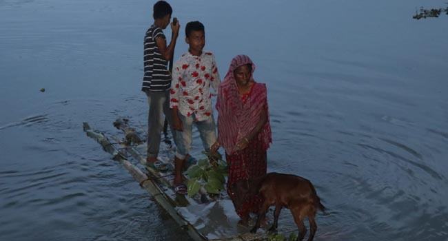 রাজবাড়ীতে পদ্মার পানি কমলেও দুর্ভোগ কমেনি বানভাসীদের