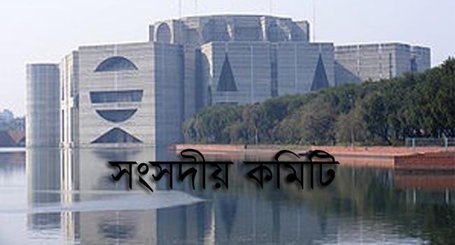 করোনাকালে ভাবমূর্তি উদ্ধারে বিমানের পদক্ষেপ জানতে চেয়েছে সংসদীয় কমিটি