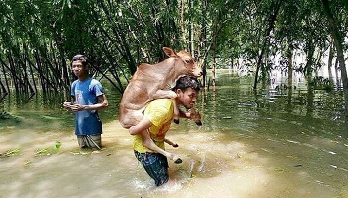 বন্যায় মানবিক সহায়তা হিসেবে ১১ হাজার ৭১০ মেট্রিক টন চাল বরাদ্দ