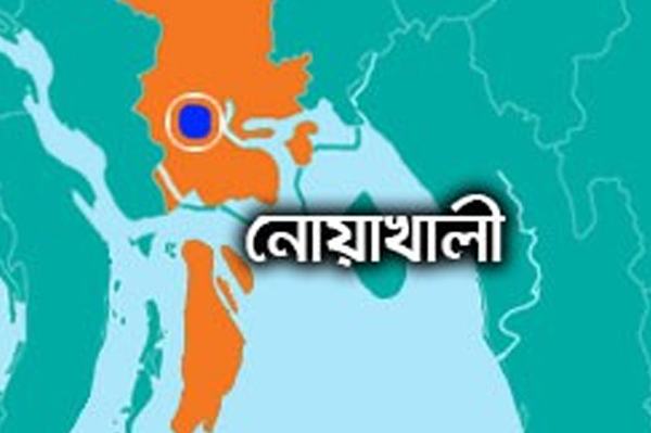 চাটখিলে গরু চুরির হিড়িক, রাত জেগে পাহারা