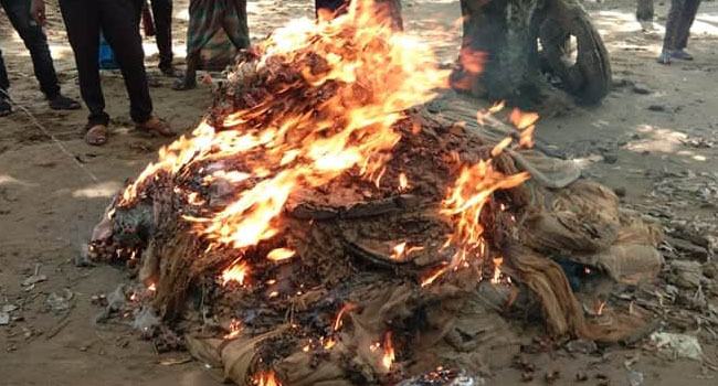 তাহিরপুরে অবৈধ কারেন্ট জাল জব্দ