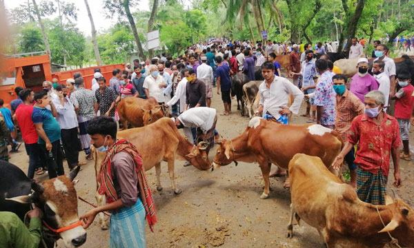 বেতাগীতে পশুর হাটে স্বাস্থ্যবিধি মানছে না কেউ
