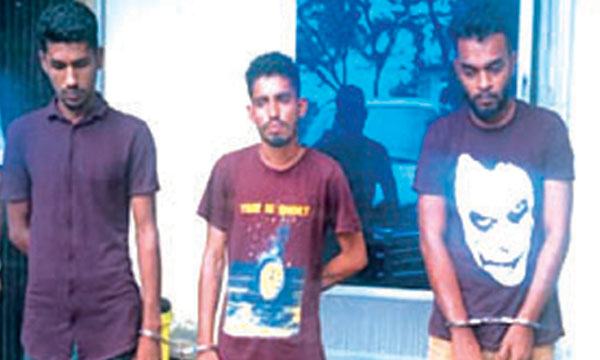 শায়েস্তাগঞ্জে ইয়াবাসহ আটক ৩