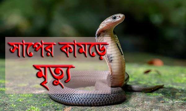 পোরশায় সাপের কামড়ে মা-মেয়ের মৃত্যু