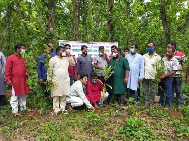 দিনাজপুরের নবাবগঞ্জে স্বেচ্ছাসেবক লীগের বৃক্ষরোপন কর্মসূচি পালিত