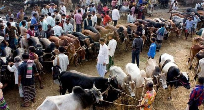 ঢাকায় রেকর্ডসংখ্যক অজ্ঞান পার্টির সদস্য আটক