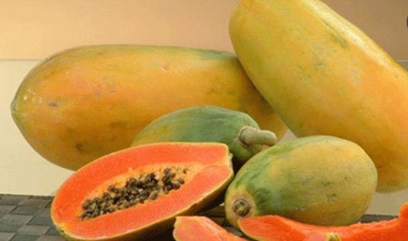 পেঁপের ভিতরে ইয়াবা