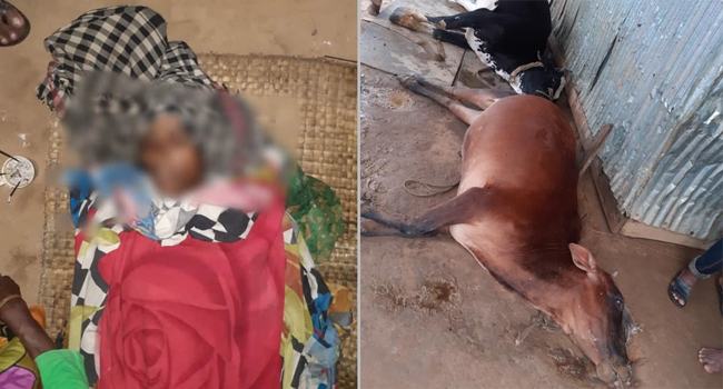 রাঙ্গামাটিতে বজ্রপাতে ২টি গরুসহ এক গৃহিণীর মৃত্যু