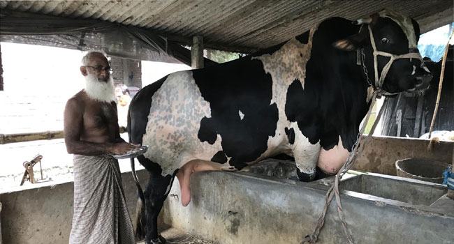 ৮ লাখ টাকায় বিক্রি হলো মিস্টার বাংলাদেশ