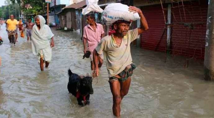 বন্যায় সাড়ে নয় হাজার টন চাল বিতরণ