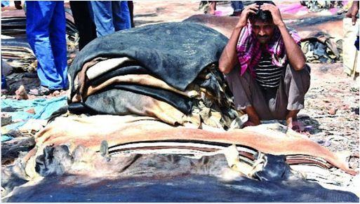 ছাগলের চামড়া ২০, গরুর চামড়া ১৫০ টাকা