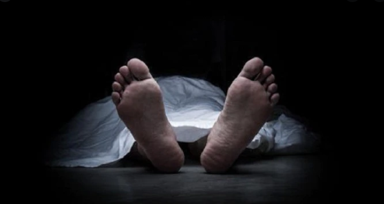 ভেড়া তাড়াতে গিয়ে ট্রেনের ধাক্কায় গৃহবধূর মৃত্যু
