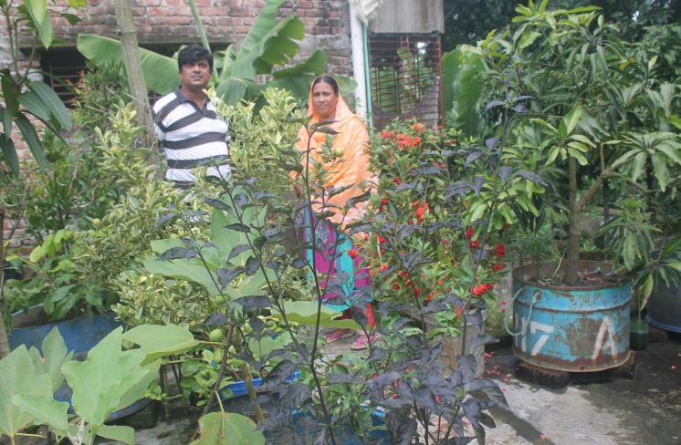 ছাদ কৃষিতে সফল দম্পতি
