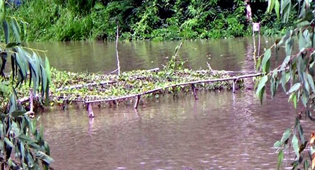১২ জেলায় বন্যা পরিস্থিতির উন্নতি
