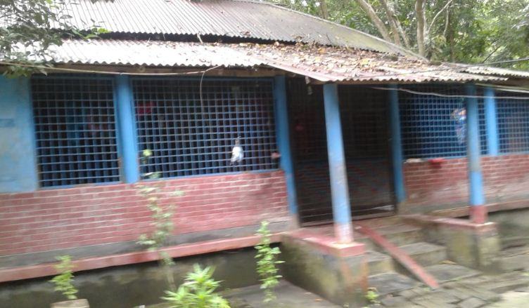 নয়ন তারার ঘরে তালা