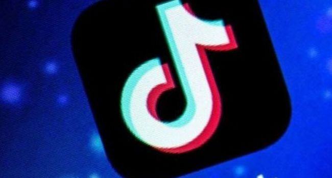 দেশে কতটা জনপ্রিয় টিকটক?